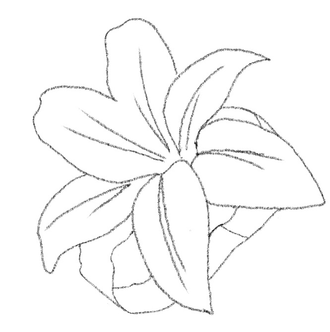 4. FLORECIMIENTO